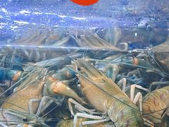 -湘里乡亲甲王二老店