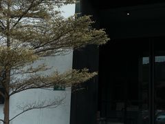 -来回·咖啡(钟村咖啡豆店)
