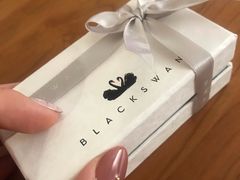 -BLACKSWAN黑天鹅(环球店)