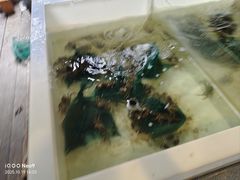 -君豪蟹都·湖景·农家乐(蟹舫苑店)