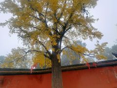 -金堂县云顶石城风景区