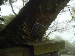 -普陀山慧济禅寺