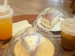 -有猫主题·治愈系猫咖(曾厝垵店)