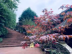 -峨眉山报国寺