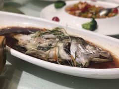 -天福苑(崇宁路店)