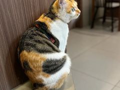 -Again Coffee Roaster(香蜜湖店)