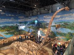 -自贡恐龙博物馆