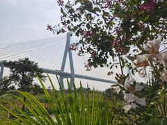 -芒洲湿地公园