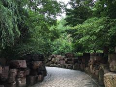 -花溪公园