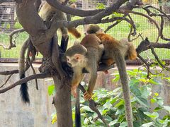 -石家庄市动物园