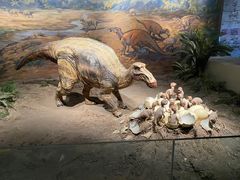 -自贡恐龙博物馆