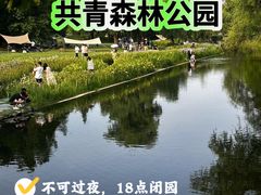 -上海共青森林公园