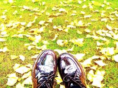 -重庆中央公园(渝北区)