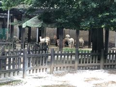 -南昌动物园