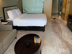 -无锡新湖铂尔曼大酒店