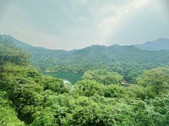 -鼎湖山风景区
