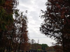 -海珠湖公园