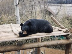 -济南野生动物世界