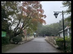 -狼山风景名胜区