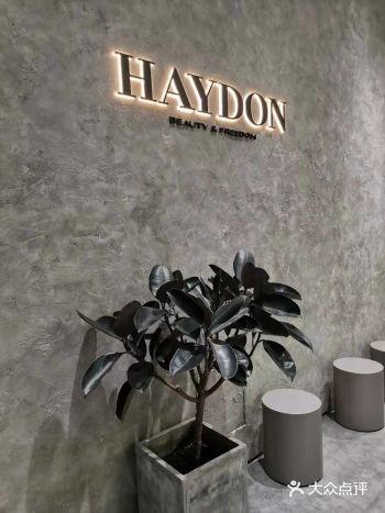 没有一个女生可以空手走出HAYDON黑洞！