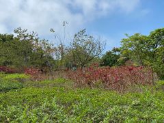 -白沙门生态公园