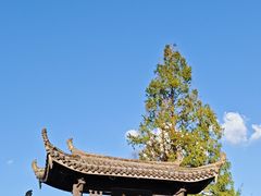 -前童古镇