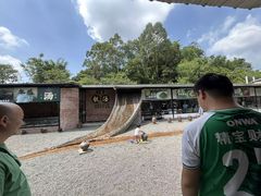 -凤阁楼果木烧鹅(鹤山陈山店)