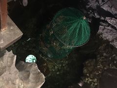 -蟹道乐(網元別館店)