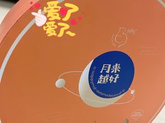 -PETKIT 小佩宠物·低压洗护·美容·寄养(安远店)