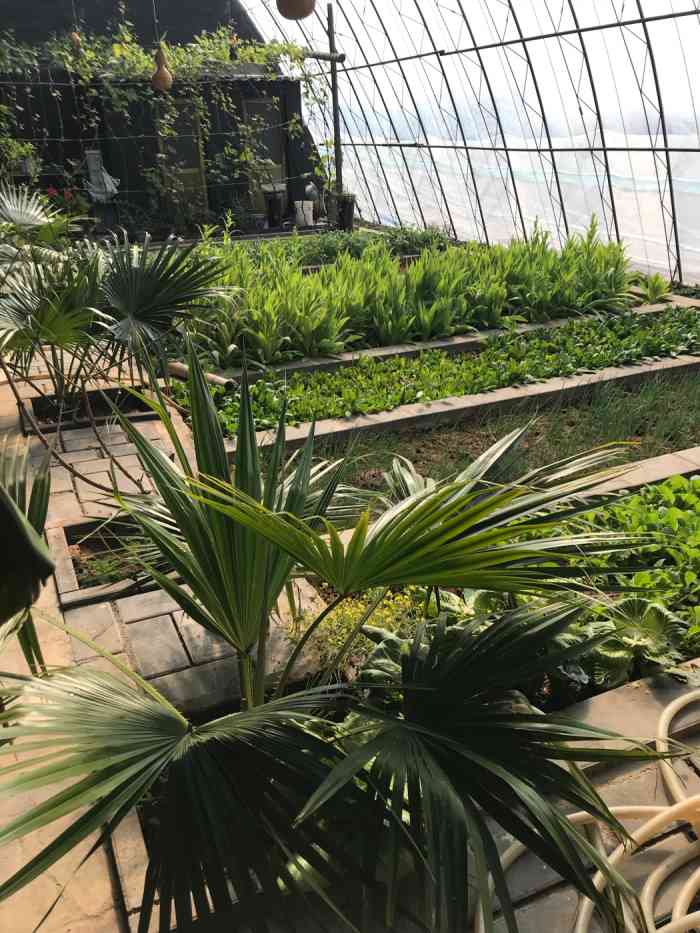 金桥亿丞庄园-"密云这家吃着是感觉最好的!就是一桌一桌的.