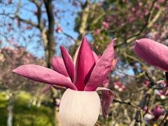 -白塘生态植物园