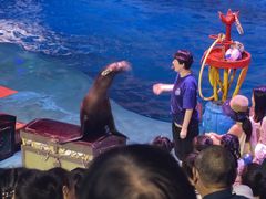 -烟台海昌鲸鲨海洋公园