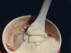 -Dip in Gelato(富民路店)