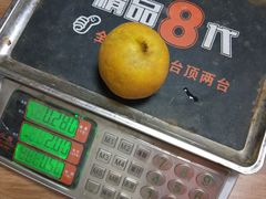 -南汇新场正宗水蜜桃采摘