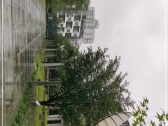 -活水公园