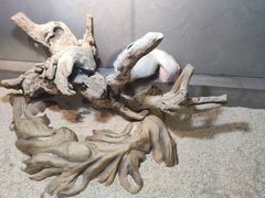 -昆明大悦城未来动物城(螺蛳湾中心店)
