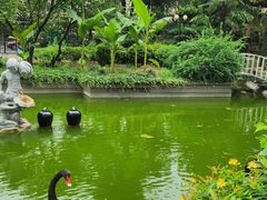 -园林格兰云天大酒店-太极名厨中餐厅