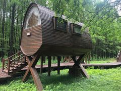 -黄海国家森林公园