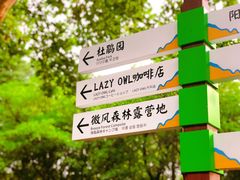 -宜兴龙背山森林公园