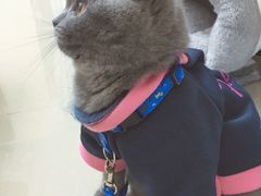 -袖虎·猫馆(体育西路店)