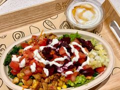 -油梨树 AVOCADO TREE(亮马桥店)