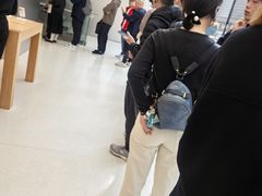 -Apple 零售店(Canton Road)