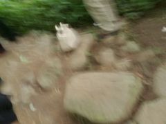 -水岸庭院·乡村柴火鸡