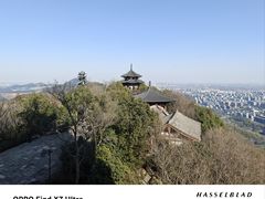 -杭州半山国家森林公园