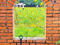 -祥源·阜阳生态乐园