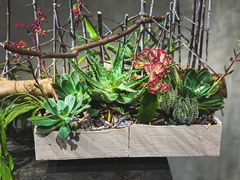 -荷兰布尔玛国际花艺学院