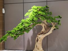 -青水瓦台汤泉(未央店)