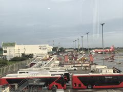 -王权免税店(清迈机场店)