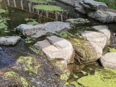 -白水寺森林公园