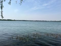 -丁香湖公园